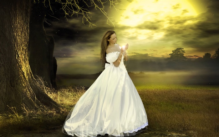 Menina branca fantasia vestido, crepúsculo, mágico Papéis de Parede, imagem