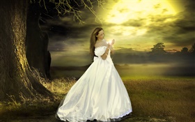 Menina branca fantasia vestido, crepúsculo, mágico HD Papéis de Parede