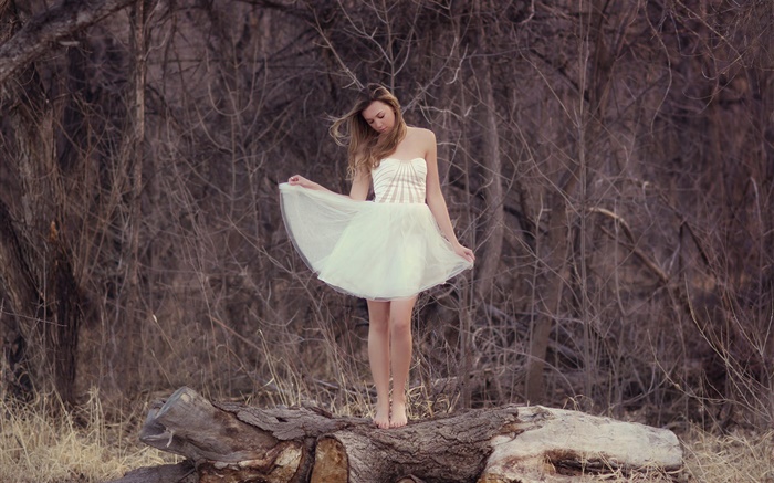 menina vestido branco, floresta, solitário Papéis de Parede, imagem