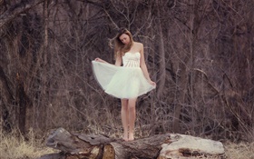 menina vestido branco, floresta, solitário HD Papéis de Parede