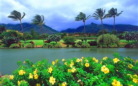 De vento, árvores, flores, montanhas, nuvens, Havaí, EUA HD Papéis de Parede