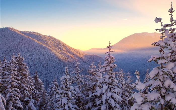 Inverno, montanhas, neve, árvores, pôr do sol Papéis de Parede, imagem