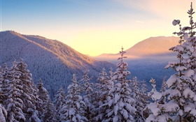 Inverno, montanhas, neve, árvores, pôr do sol HD Papéis de Parede