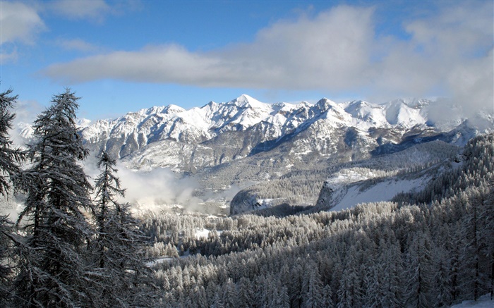 Inverno, montanhas, árvores, neve, paisagem da natureza Papéis de Parede, imagem