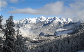 Inverno, montanhas, árvores, neve, paisagem da natureza