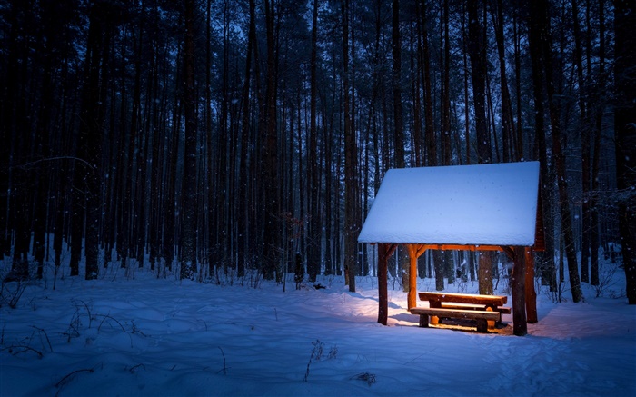 Inverno, árvores, pavilhão, neve, noite, luz Papéis de Parede, imagem