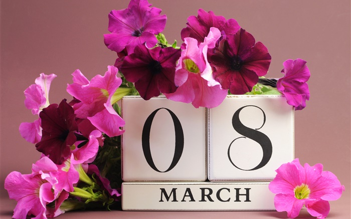 08 de março, Dia da Mulher, flores rosa petúnias, data Papéis de Parede, imagem