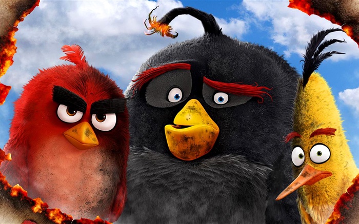 Angry Birds filme 2016 Papéis de Parede, imagem