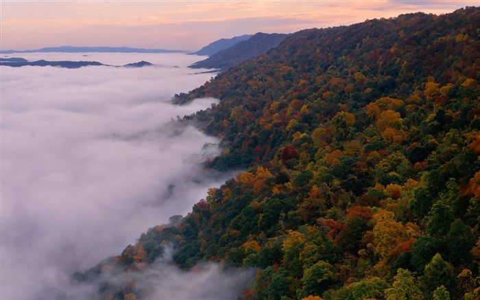 Paisagem bonita da natureza, montanhas, árvores, outono, nevoeiro, amanhecer Papéis de Parede, imagem