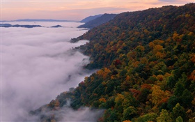 Paisagem bonita da natureza, montanhas, árvores, outono, nevoeiro, amanhecer