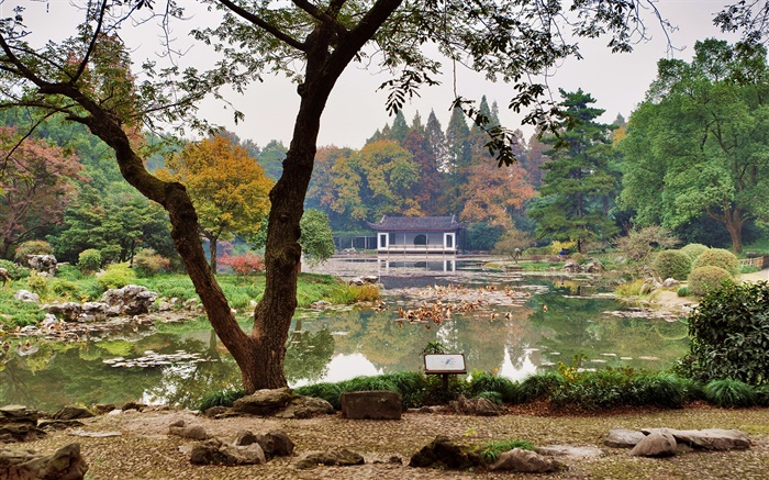 China, Hangzhou Botanical Garden, lagoa, grama, arbustos, árvores Papéis de Parede, imagem