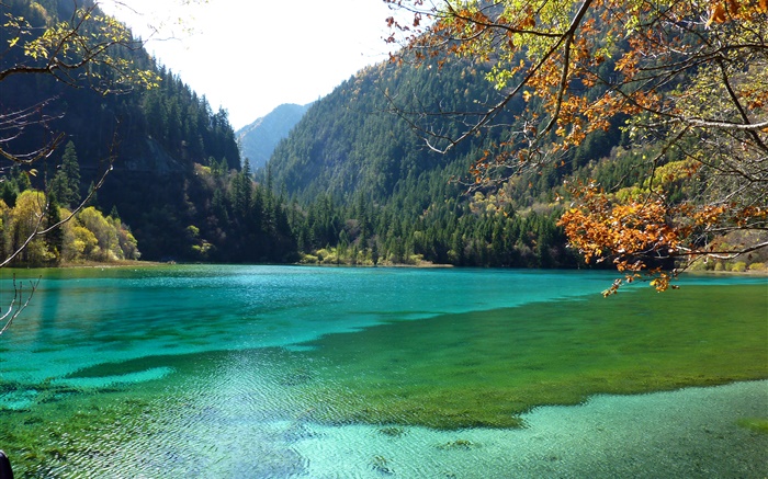 China, Parque Nacional Jiuzhaigou, lago, montanhas, árvores Papéis de Parede, imagem