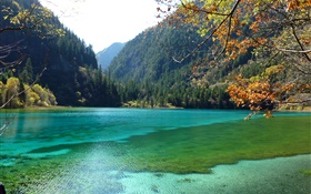 China, Parque Nacional Jiuzhaigou, lago, montanhas, árvores