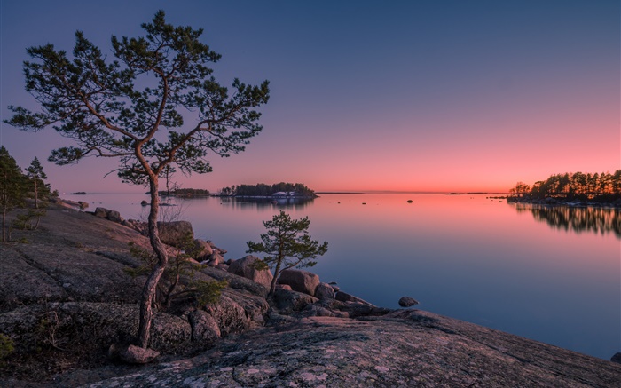 Finland, finlandês Bay, mar, ilha, por do sol, árvores, pedras Papéis de Parede, imagem