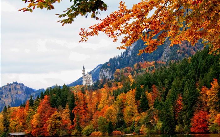 Alemanha, Baviera, castelo Schwangau, árvores, rio, outono Papéis de Parede, imagem