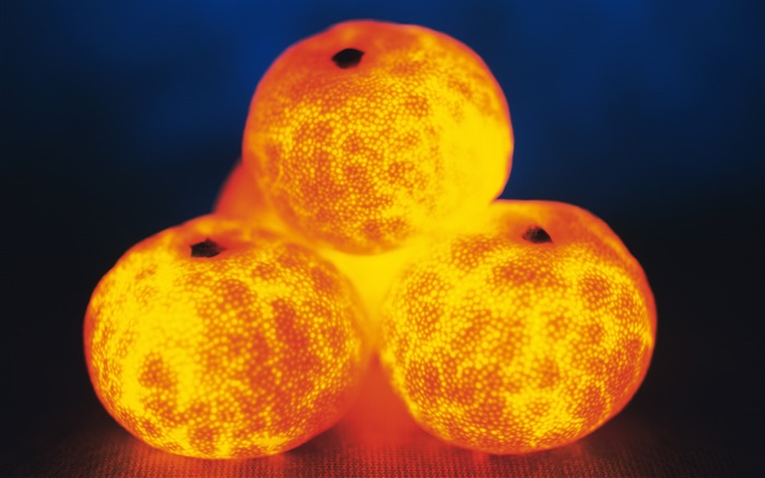 frutas luz, quatro laranjas Papéis de Parede, imagem