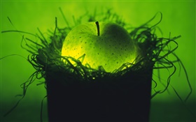 frutas luz, maçã verde no ninho HD Papéis de Parede