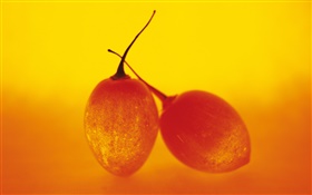 frutas luz, dois tomates de árvore HD Papéis de Parede
