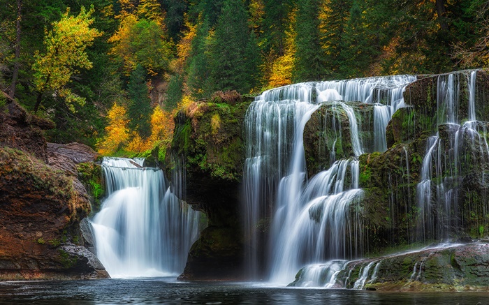Abaixe Lewis River Falls, Washington, EUA, cachoeiras, outono, árvores Papéis de Parede, imagem