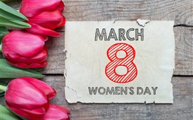 08 de março, Dia da Mulher, tulipas flores vermelhas HD Papéis de Parede