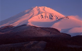 Monte Fuji, Japão, neve, crepúsculo, floresta