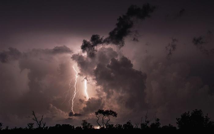 Noite, nuvens, tempestade, relâmpago, árvores, silhueta Papéis de Parede, imagem