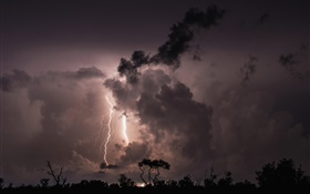 Noite, nuvens, tempestade, relâmpago, árvores, silhueta HD Papéis de Parede