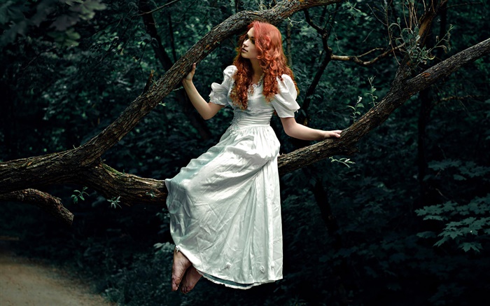 A menina de cabelo vermelho, vestido branco, floresta, árvore Papéis de Parede, imagem