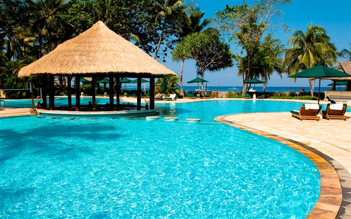 Resort, palmeiras, piscina, casa, exótico Papéis de Parede, imagem