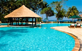Resort, palmeiras, piscina, casa, exótico HD Papéis de Parede