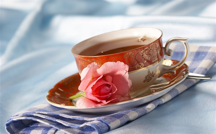 Chá, bebidas, rosa flor rosa Papéis de Parede, imagem