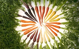 Legumes, cenoura, cores diferentes, círculo
