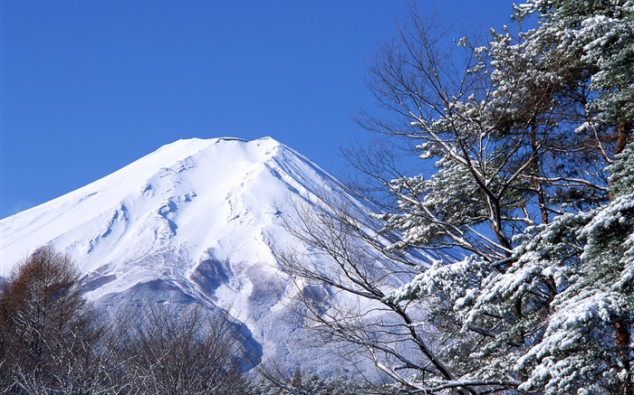 mundo branco, inverno, neve, o Monte Fuji, Japão Papéis de Parede, imagem