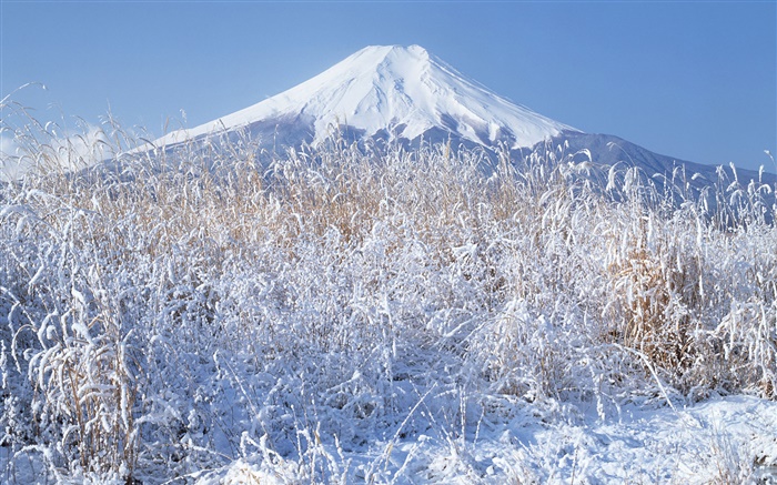 Inverno, grama, neve, o Monte Fuji, Japão Papéis de Parede, imagem