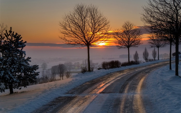 Inverno, manhã, alvorecer, estrada, árvores, neve, nascer do sol Papéis de Parede, imagem