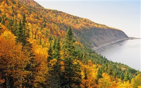 Outono, montanhas, floresta, árvores, costa, mar HD Papéis de Parede