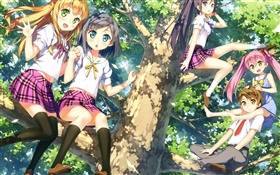 meninas cute anime na árvore HD Papéis de Parede