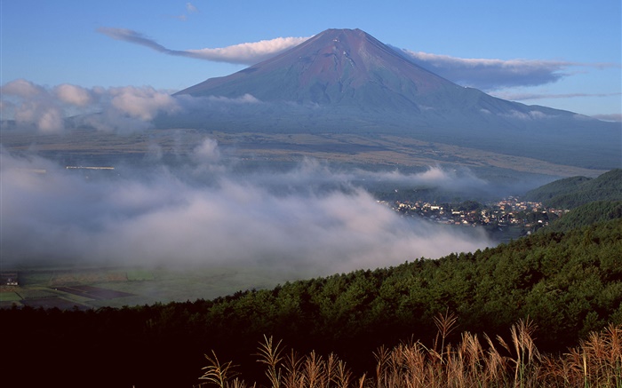 Monte Fuji, Japão, cidade, floresta, grama, nevoeiro, nuvens Papéis de Parede, imagem