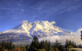 Montanha, neve, árvores, nuvens, Shasta, Califórnia, EUA HD Papéis de Parede