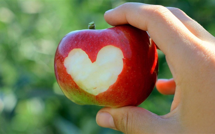 maçã vermelha, corações do amor, mão Papéis de Parede, imagem