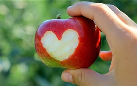 maçã vermelha, corações do amor, mão HD Papéis de Parede