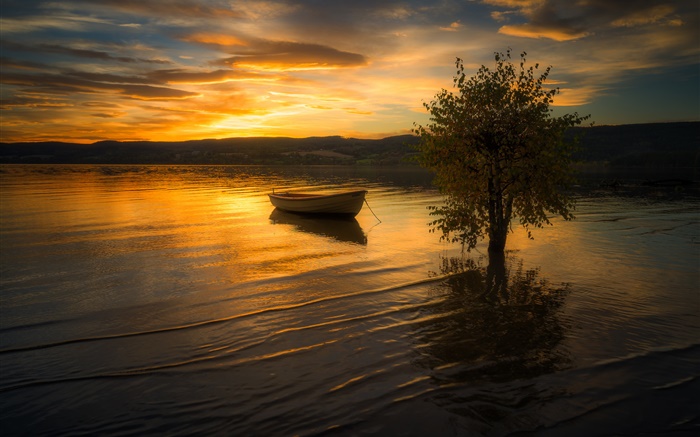 Do sol, nuvens, rio, árvore, barco Papéis de Parede, imagem