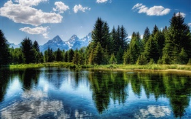 Árvores, lago, céu azul, nuvens, reflexão da água HD Papéis de Parede