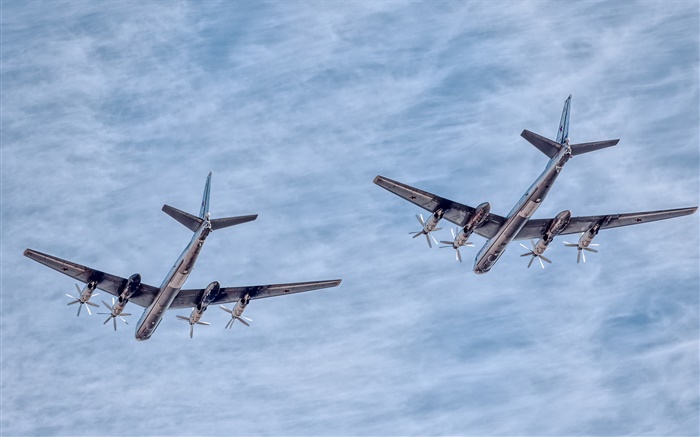 airshow aeronaves Tupolev TU-95 Papéis de Parede, imagem
