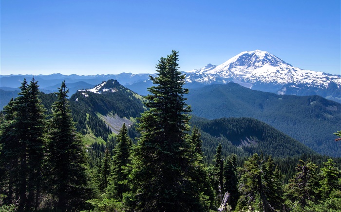 EUA, Alaska, floresta, montanhas, céu azul Papéis de Parede, imagem