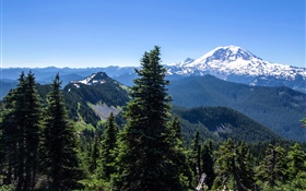 EUA, Alaska, floresta, montanhas, céu azul HD Papéis de Parede