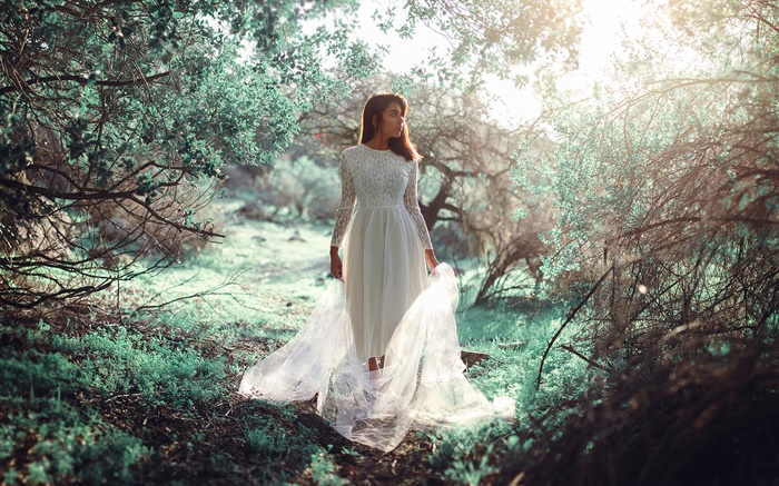 menina vestido branco na floresta, sol, brilho Papéis de Parede, imagem
