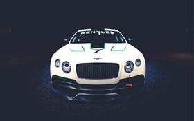 Bentley Continental GT3 conceito de raça Opinião dianteira do carro HD Papéis de Parede