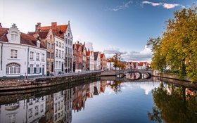 Bruges, Bélgica, cidade, casas, ponte, rio, árvores