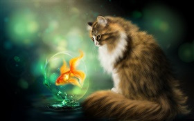 Gato e peixinho, o desenho da arte HD Papéis de Parede